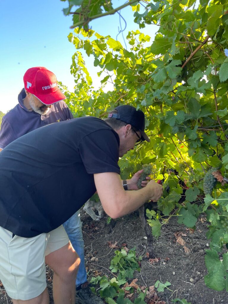 whatsapp image 2026 03 11 at 18.49.20 (5)